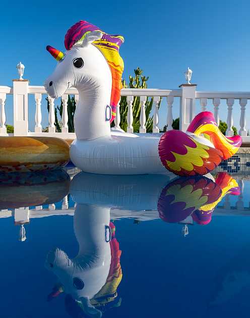 Как вырастить единорога