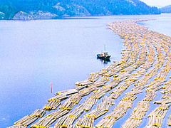 Работаем ли мы эффективнее, имея больше дней на отдых