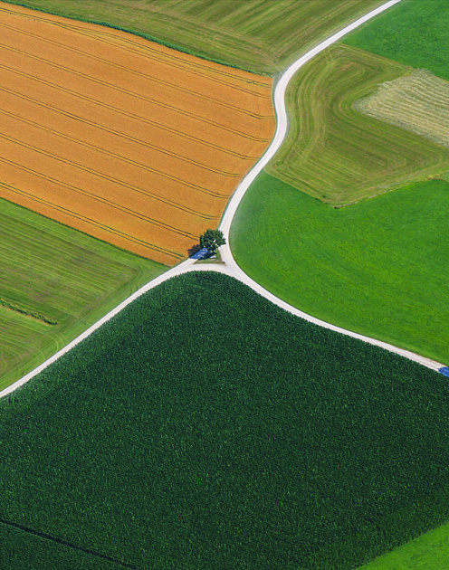Границы фирмы: почему о них важно помнить в кризис