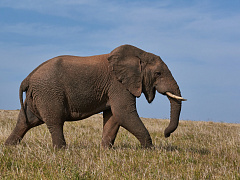 Как уменьшить тревогу и сохранить способность действовать