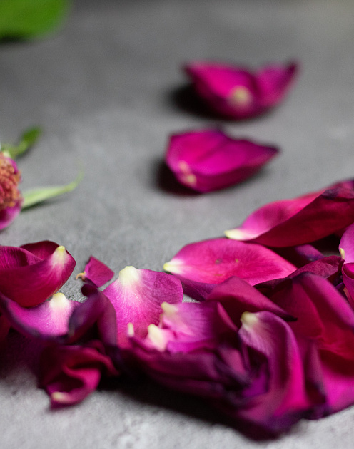 Вокруг много боли: как не множить страдания, помогая себе и другим