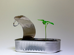 Мобилизоваться и действовать: как и о чем говорить с подчиненными в кризис