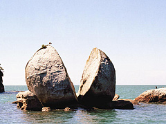 Развод карьере не помеха