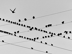 Сокращения, которые не разрушат компанию