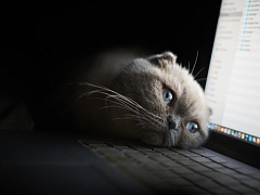 Перестаньте думать о работе