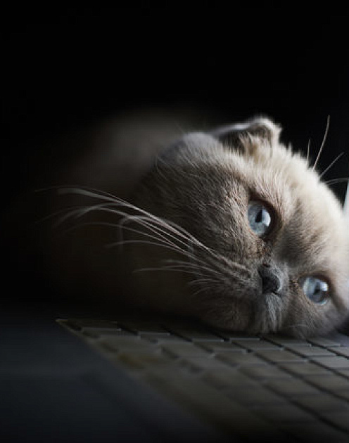 Перестаньте думать о работе