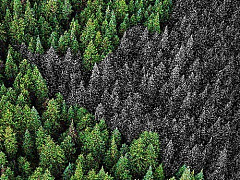 Главная угроза для человечества не технологии, а мы сами