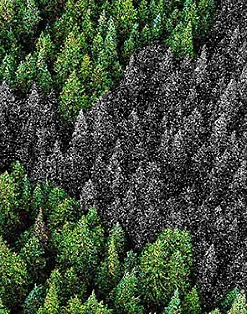 Главная угроза для человечества не технологии, а мы сами