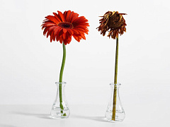 «Он достает всех вокруг»: как перестать заражать стрессом окружающих