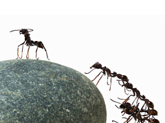 9 качеств, отличающих лучших сотрудников от средних