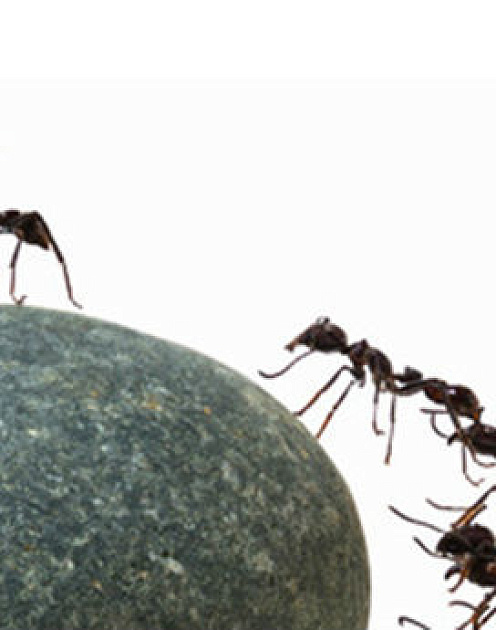 9 качеств, отличающих лучших сотрудников от средних