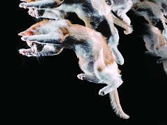 Тонкая грань между творчеством и хаосом