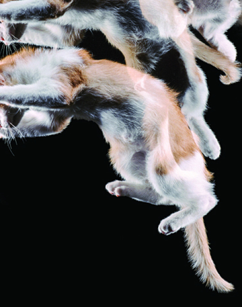 Тонкая грань между творчеством и хаосом