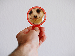 Что делать, если вы работаете с несознательными людьми