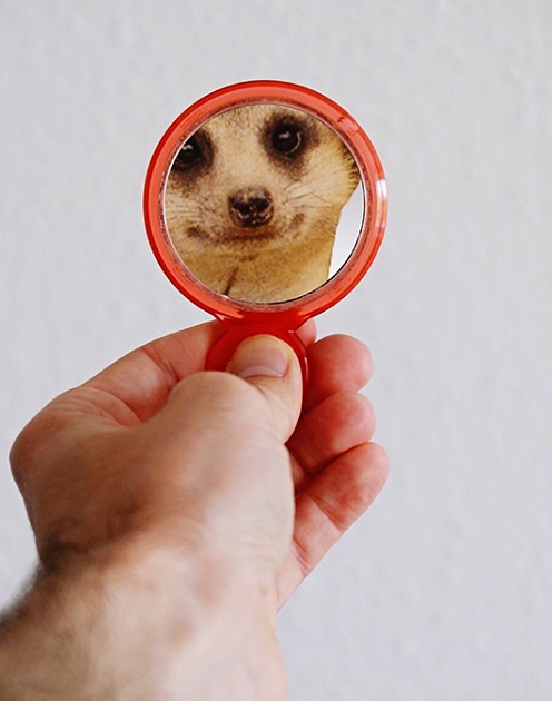 Что делать, если вы работаете с несознательными людьми