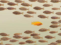 Провал, еще провал: как менять компанию, которая не меняется