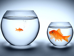 Что делать, если сотрудник становится вашим соперником