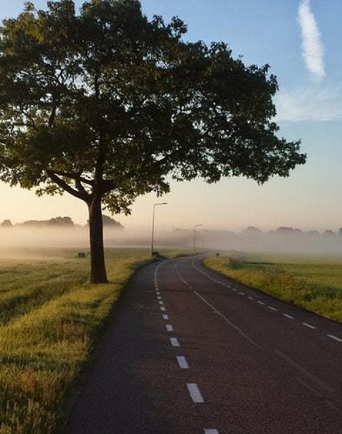 Четыре совета для CEO