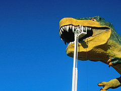 Эмоциональный интеллект: учимся понимать природу чувств