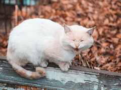 Как ставить задачи сотрудникам, чтобы потом не пришлось всё переделывать