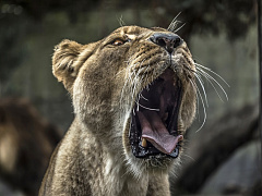 Страшное дело: почему сотрудники боятся вас и кажутся «неидеальными»