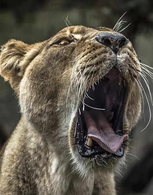 Страшное дело: почему сотрудники боятся вас и кажутся «неидеальными»