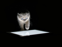 13 стратегий для избавления от цифровой зависимости