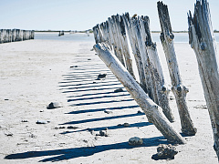 Мат как средство коммуникации