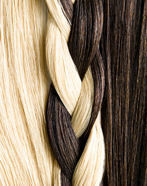 Почему стоит «давать взаймы» своих лучших людей