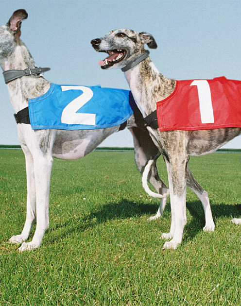 Время (не)первых: как стартап может упустить свой шанс во время питча