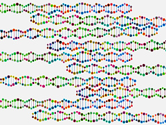 Жизненный успех зависит от генов