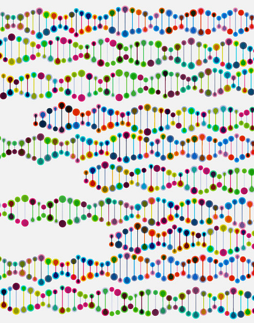 Жизненный успех зависит от генов
