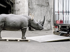 Трудности переезда: как сорваться с места и не пожалеть