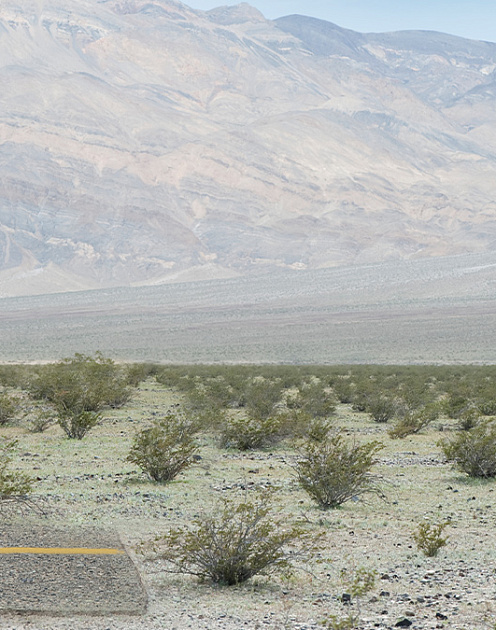 «Увольняться или нет?»: шесть признаков, которые помогут найти правильный ответ