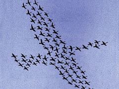 Диалог как основа культуры компании