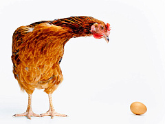 Инновации: люди или процедуры?