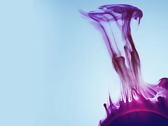 «Темная сторона» Илона Маска