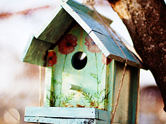 Как найти нового руководителя для стартапа