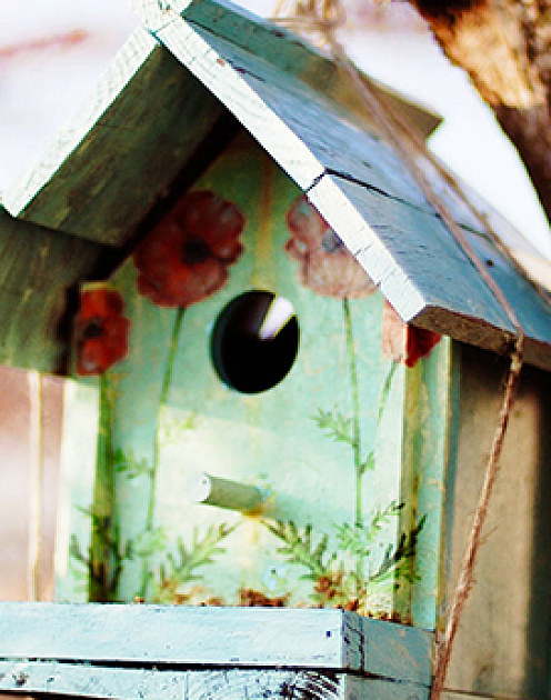 Как найти нового руководителя для стартапа