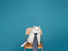 Самый сложный вопрос: что рассказать о себе на собеседовании