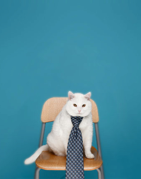 Самый сложный вопрос: что рассказать о себе на собеседовании