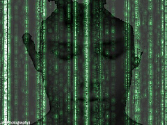 Лабиринты матричного менеджмента