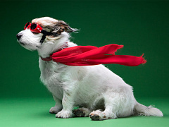 Почему побеждают аутсайдеры