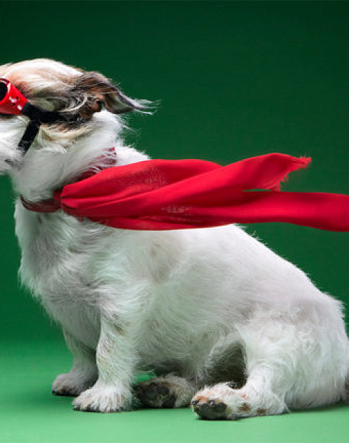 Почему побеждают аутсайдеры