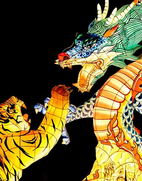 Как укротить своего альфа-лидера