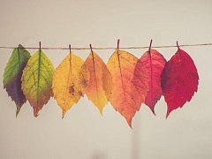 Что делать, если сотрудники против изменений