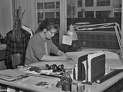 Не гонитесь за мечтой, научитесь работать