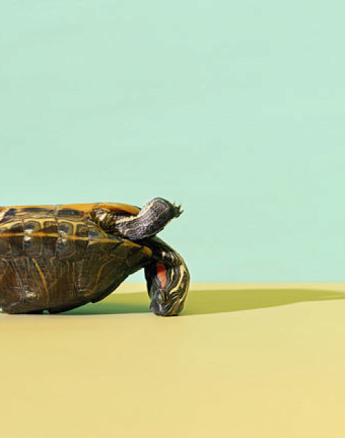 Четыре ловушки мотивации