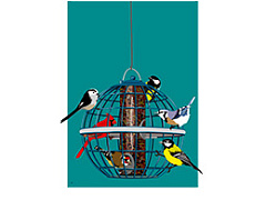 Мы не разбираемся в разнообразии