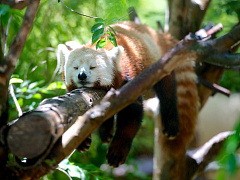 Что делать, если ваш коллега халтурит